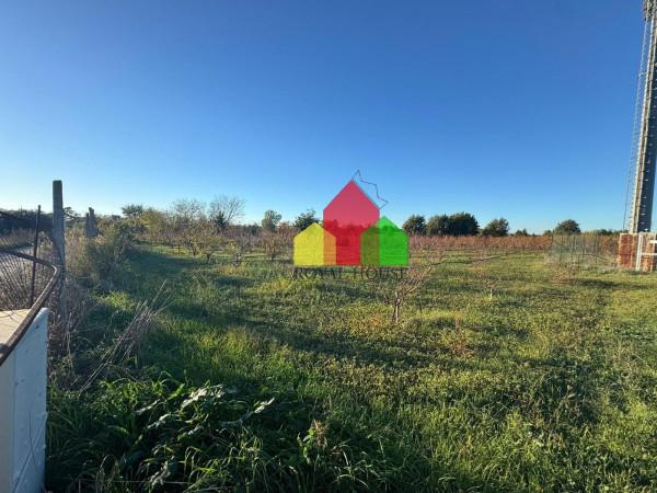 immagine annuncio 11 di 12