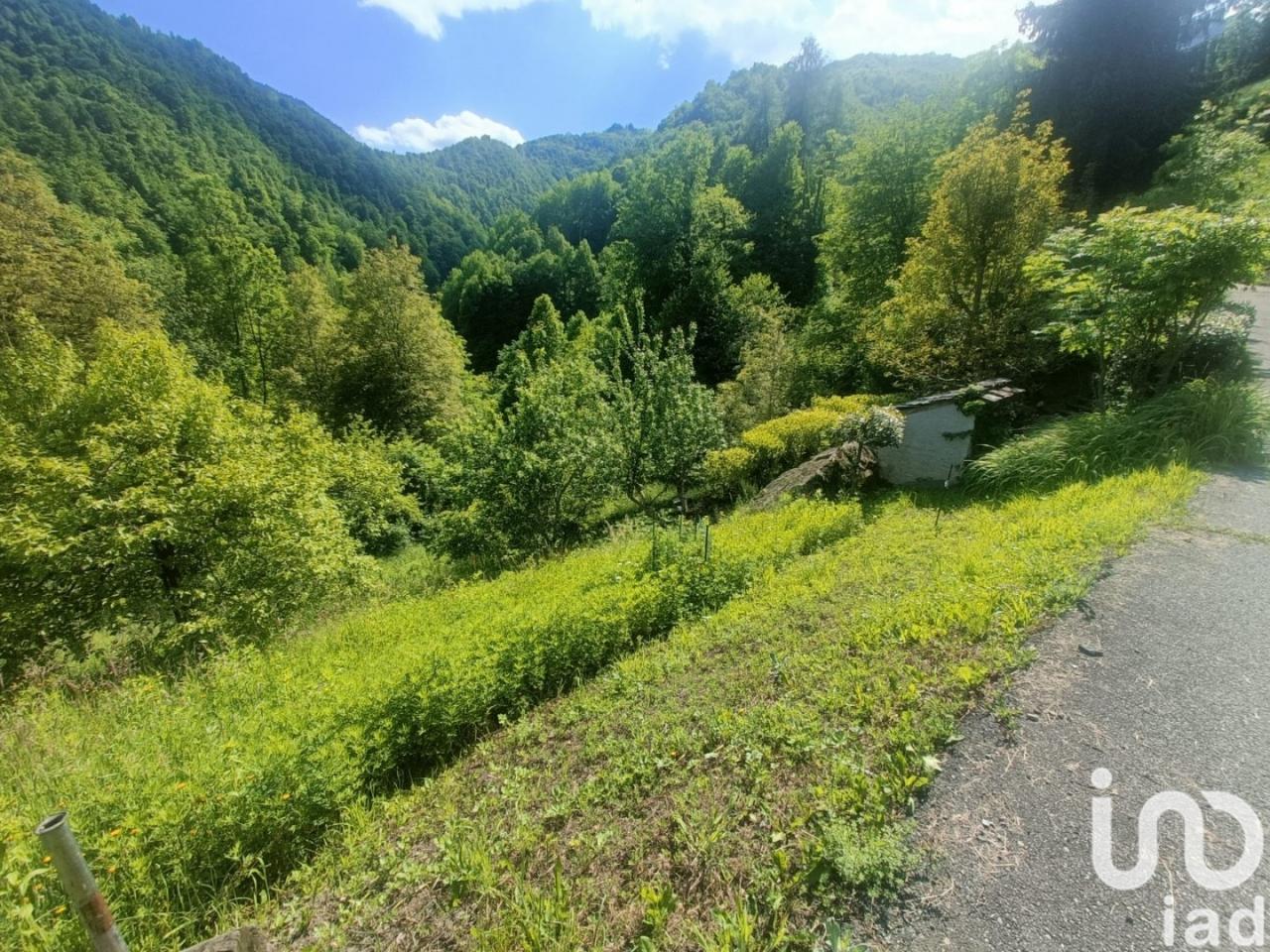 immagine annuncio 7 di 12