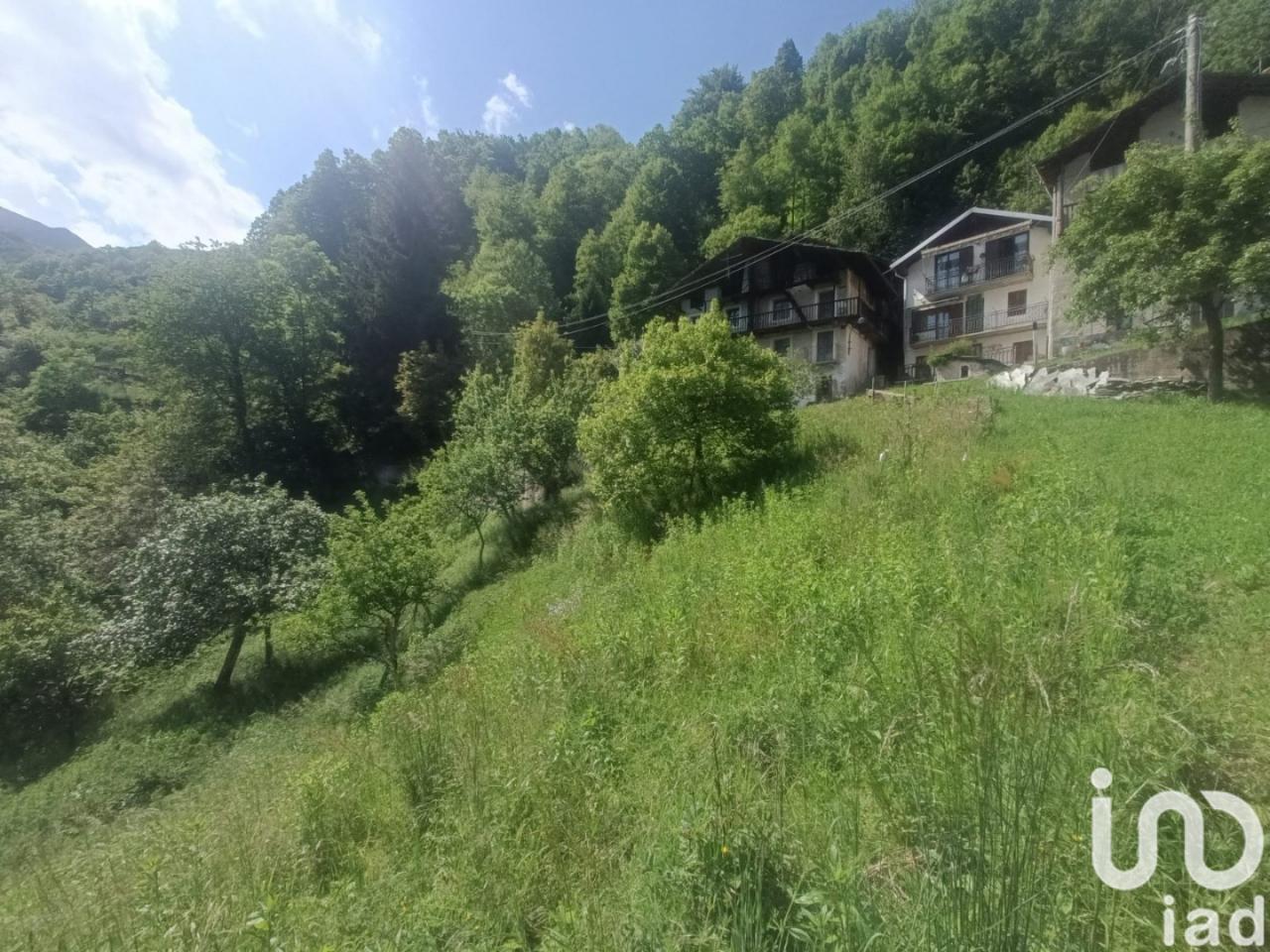 immagine annuncio 11 di 12