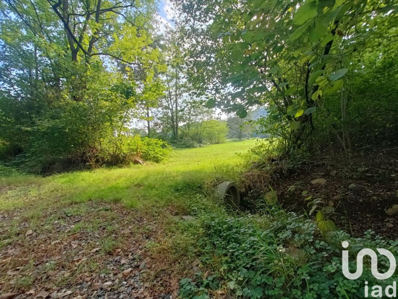 immagine annuncio 4 di 12