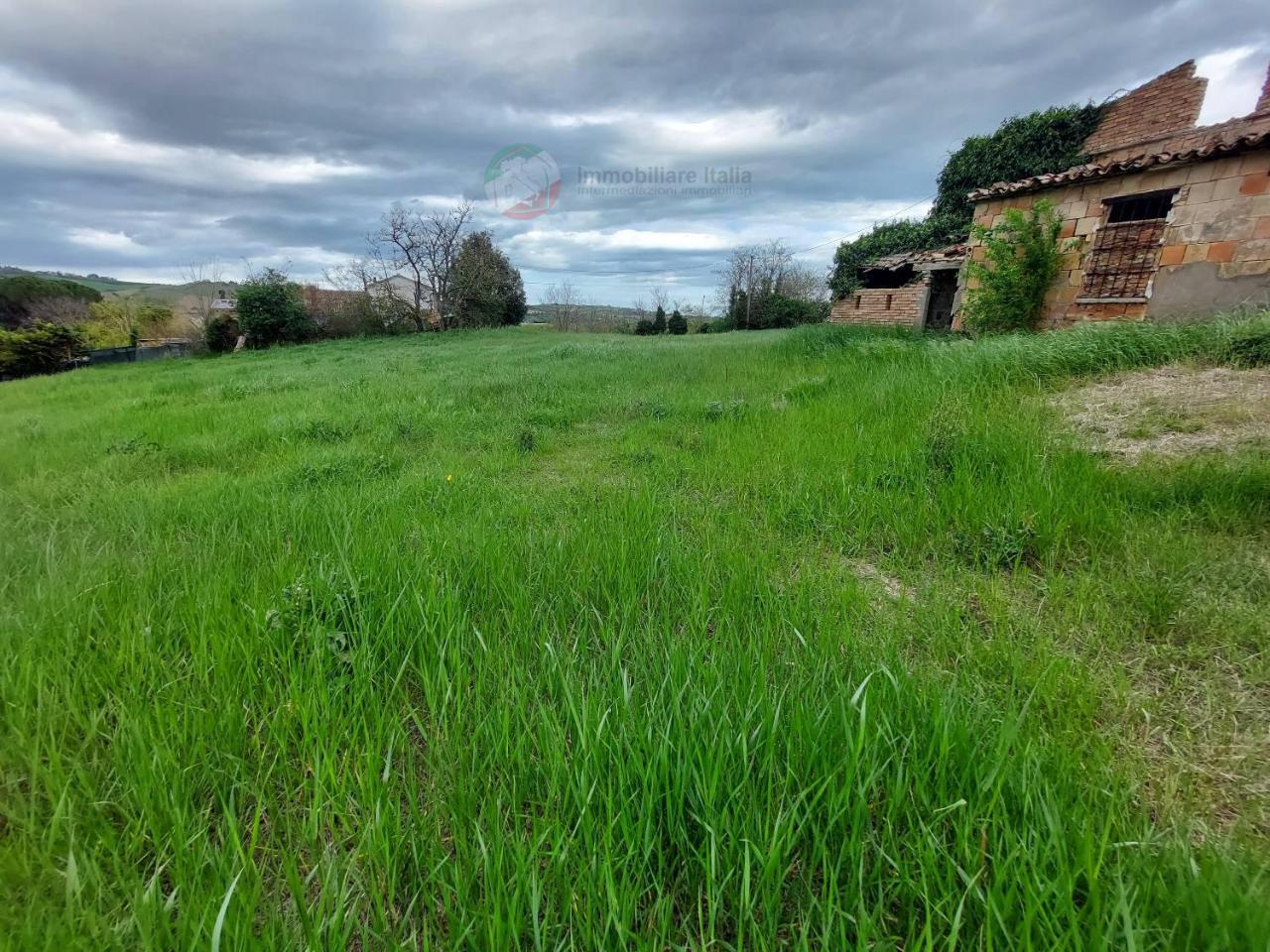 immagine annuncio 8 di 12