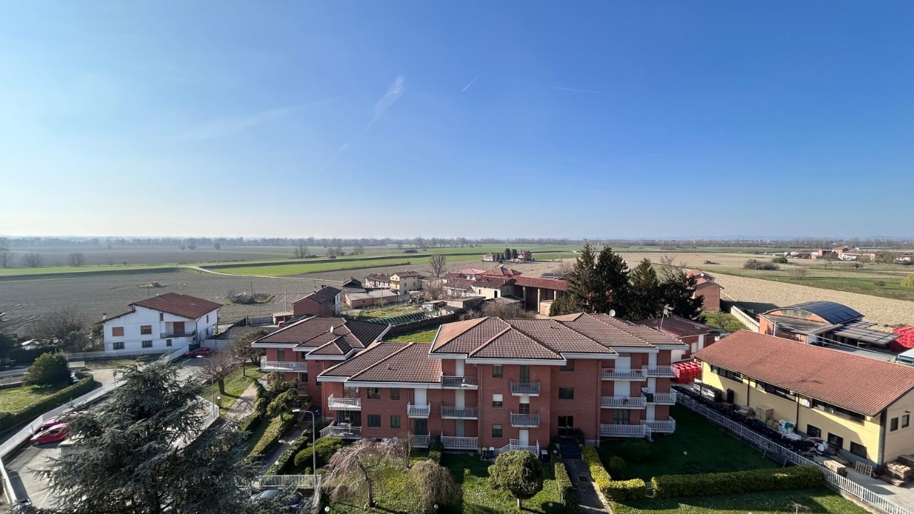immagine annuncio 11 di 13