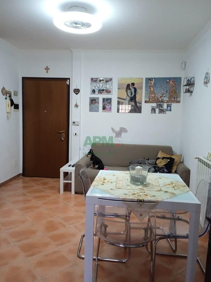 immagine annuncio 3 di 8