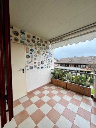 immagine annuncio 6 di 15