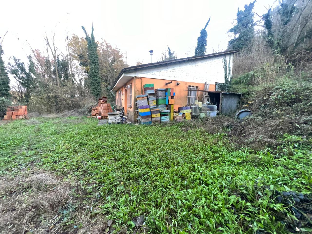 immagine annuncio 2 di 9