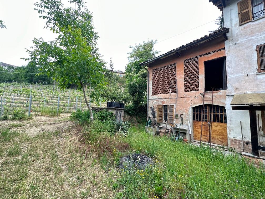 immagine annuncio 10 di 12
