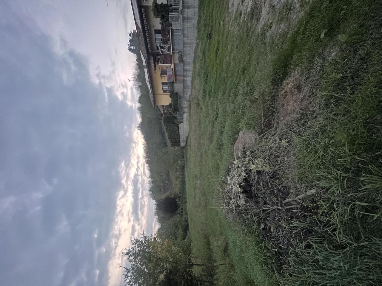 immagine annuncio 4 di 6