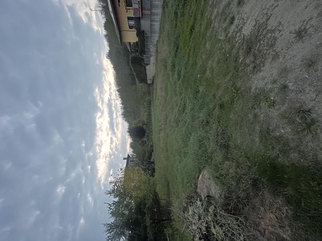 immagine annuncio 3 di 6