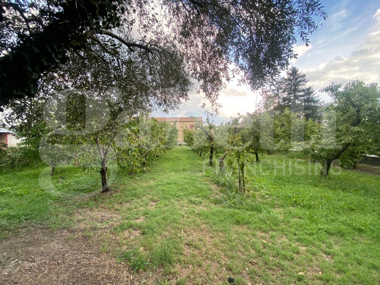 immagine annuncio 2 di 6