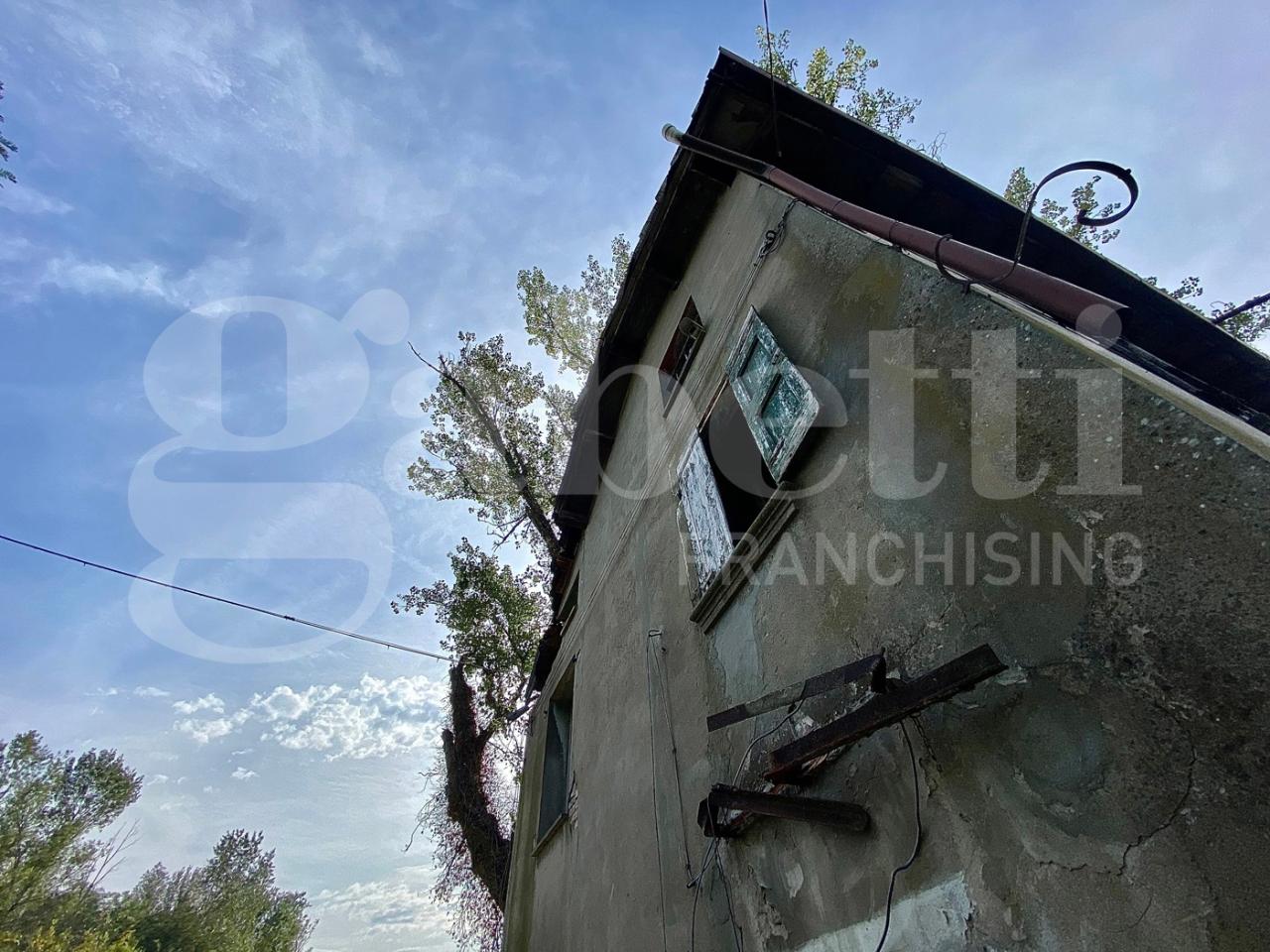 immagine annuncio 5 di 8