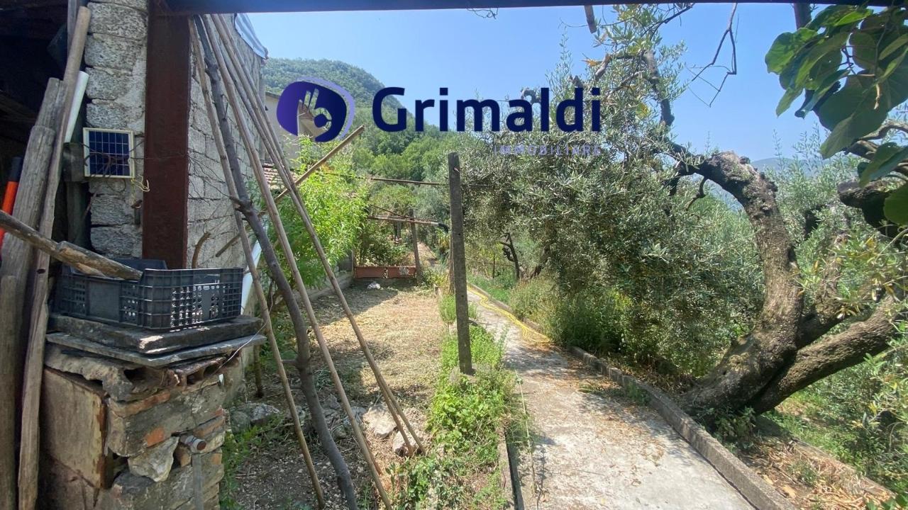 immagine annuncio 7 di 8