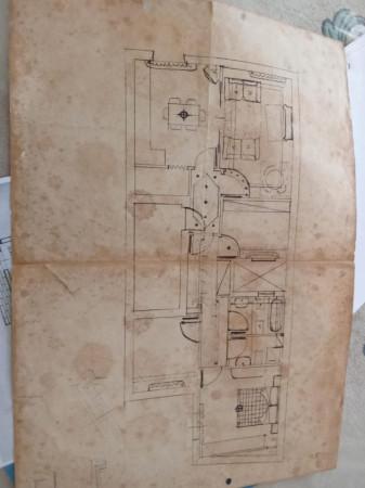 immagine annuncio 12 di 13