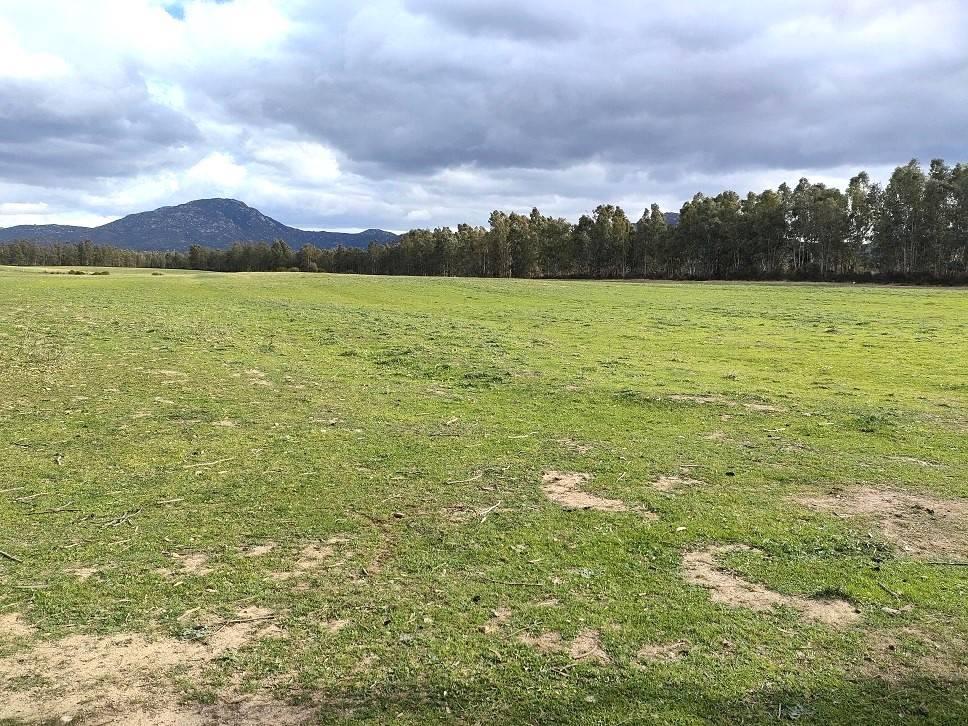 Terreno agricolo in vendita a Castiadas