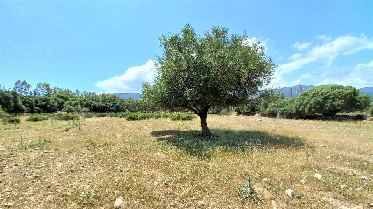 Terreno agricolo in vendita a Castiadas