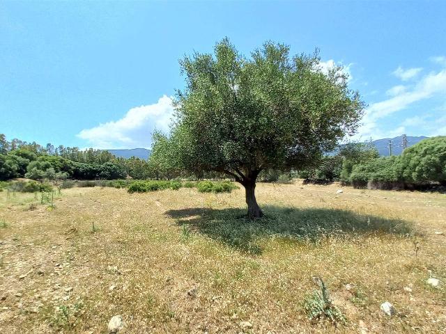 Agricultural land in Loc. Sitò, Castiadas - Photo 1