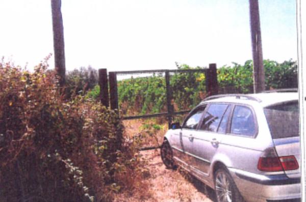 Terreno agricolo in vendita a Velletri