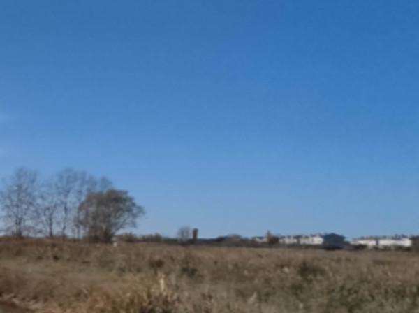 Terreno agricolo in vendita a Greve In Chianti