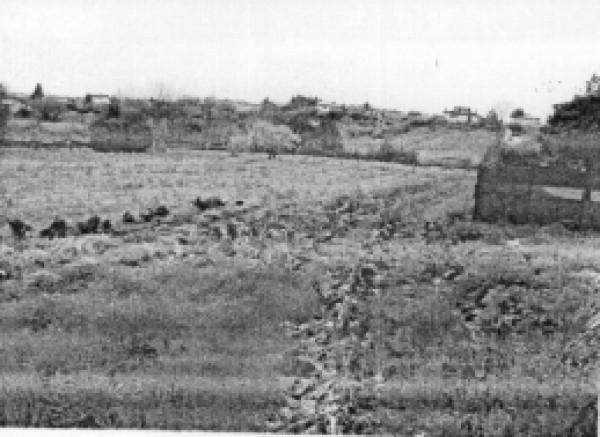 Terreno agricolo in vendita a Velletri