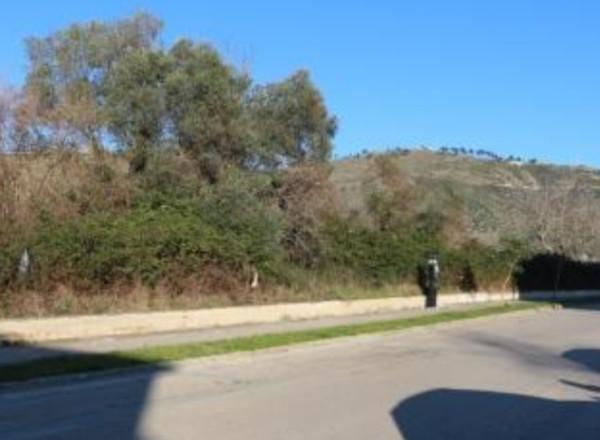 Terreno agricolo in vendita a Caserta