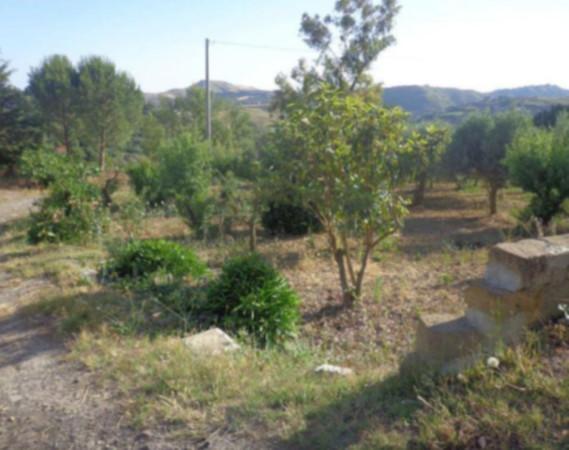 Terreno agricolo in vendita a Enna