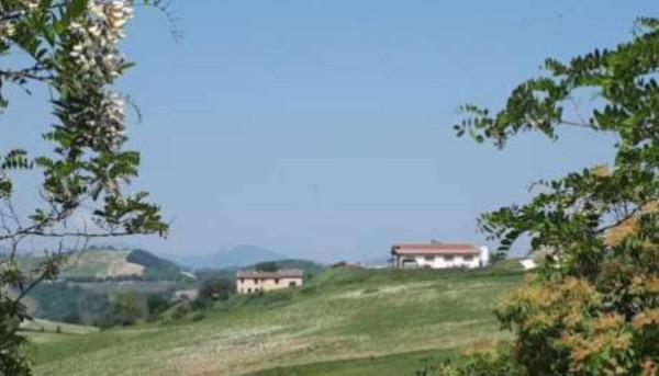 Terreno agricolo in vendita a Urbino