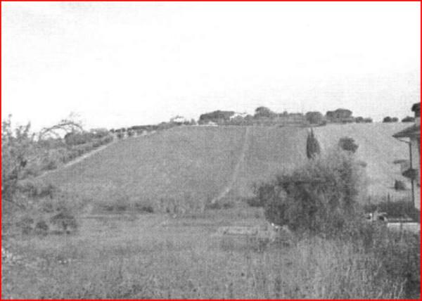 Terreno agricolo in vendita a Monsampolo Del Tronto