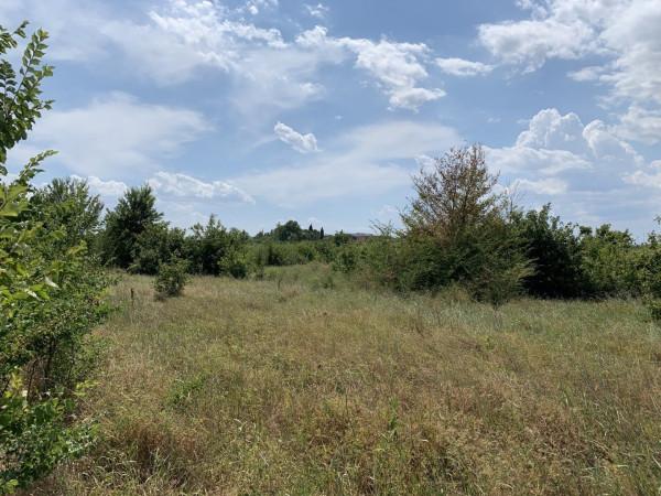 Terreni agricoli in vendita Arezzo e provincia Wikicasa