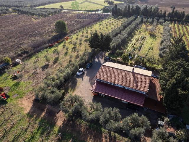 Landhaus in Strada Cava del Gesso, Capalbio - Foto 1