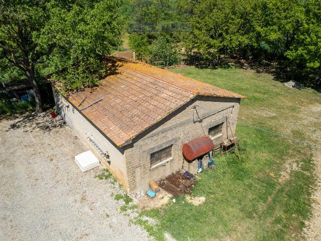 Country house or cottage in Strada della Sgrilla, Capalbio - Photo 1