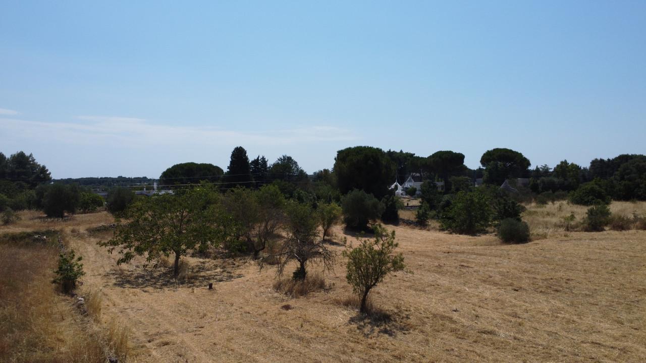 immagine annuncio 1 di 8