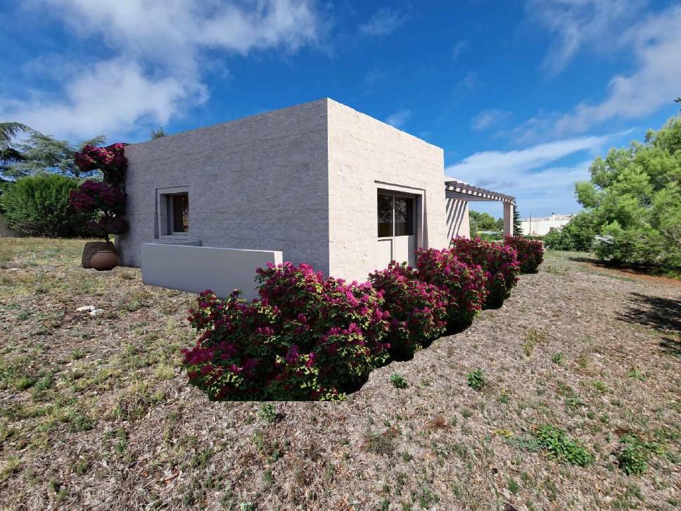 immagine annuncio 2 di 14