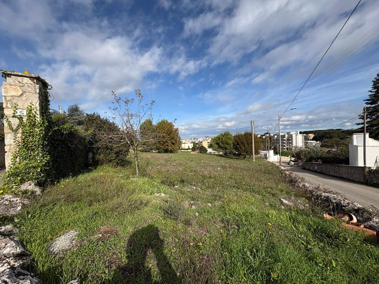 immagine annuncio 3 di 14