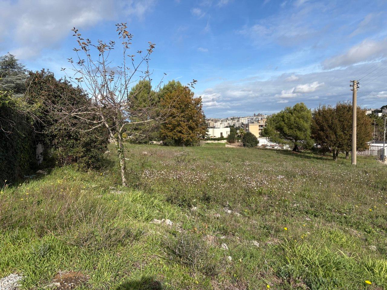 immagine annuncio 5 di 14