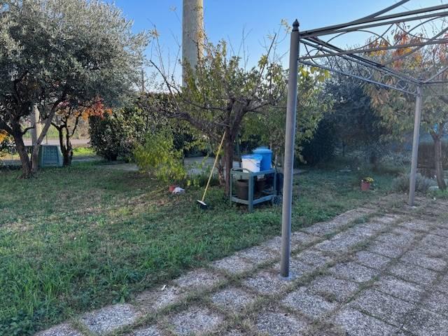 immagine annuncio 12 di 14