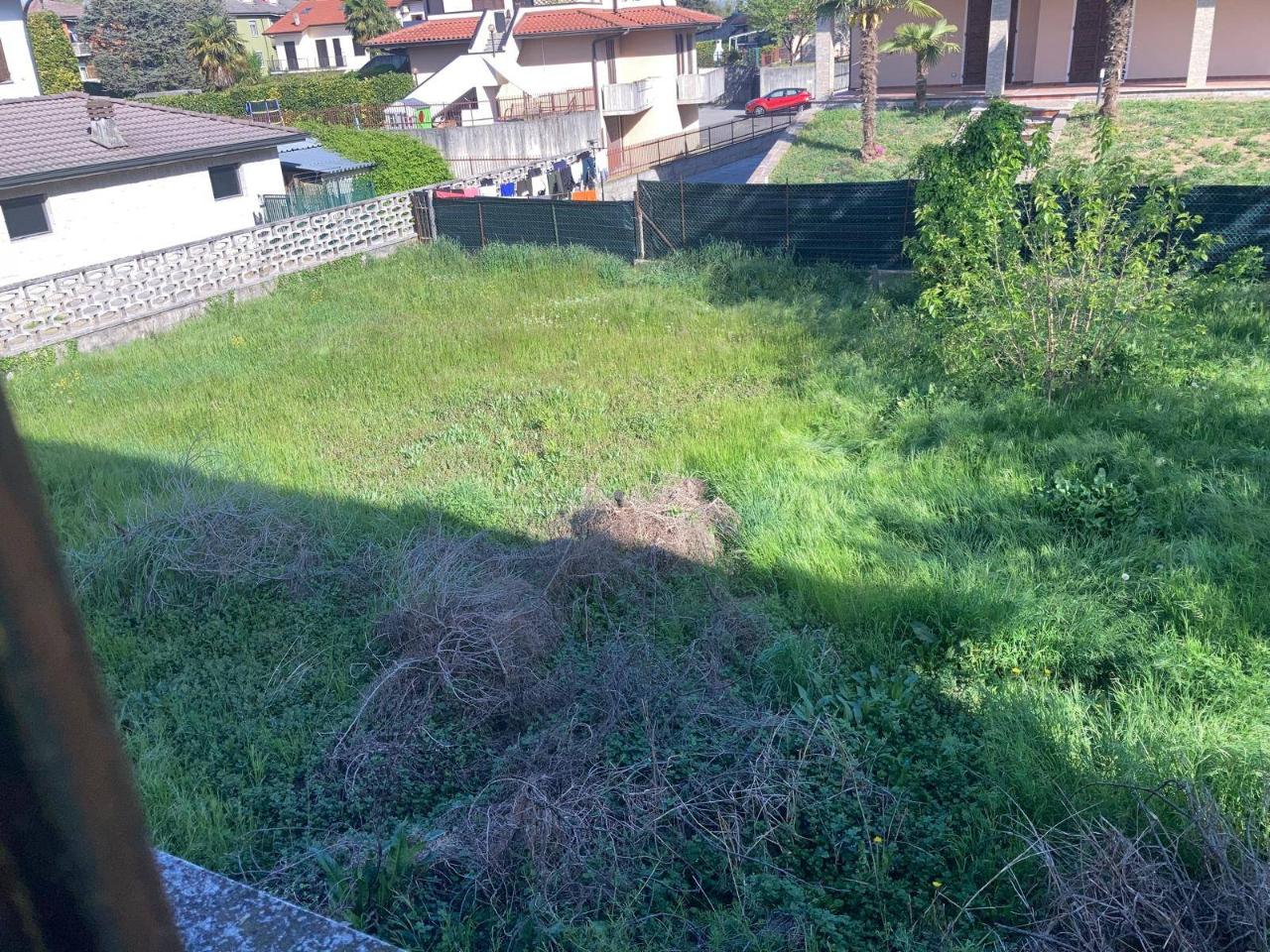 immagine annuncio 4 di 8