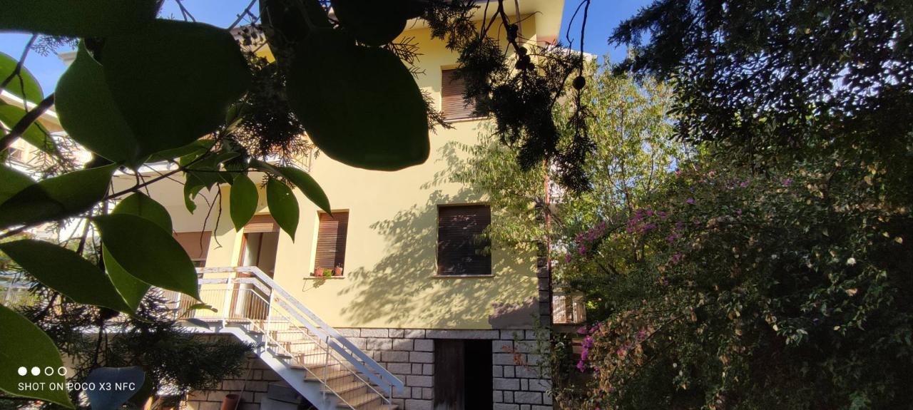 immagine annuncio 3 di 11