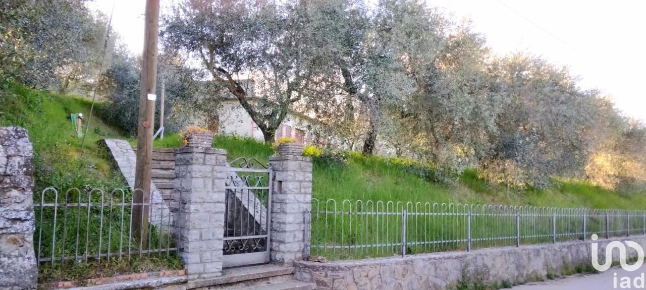 immagine annuncio 11 di 13