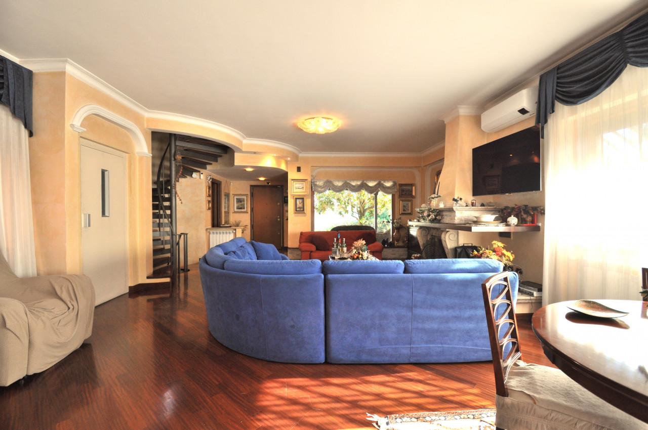 immagine annuncio 6 di 15