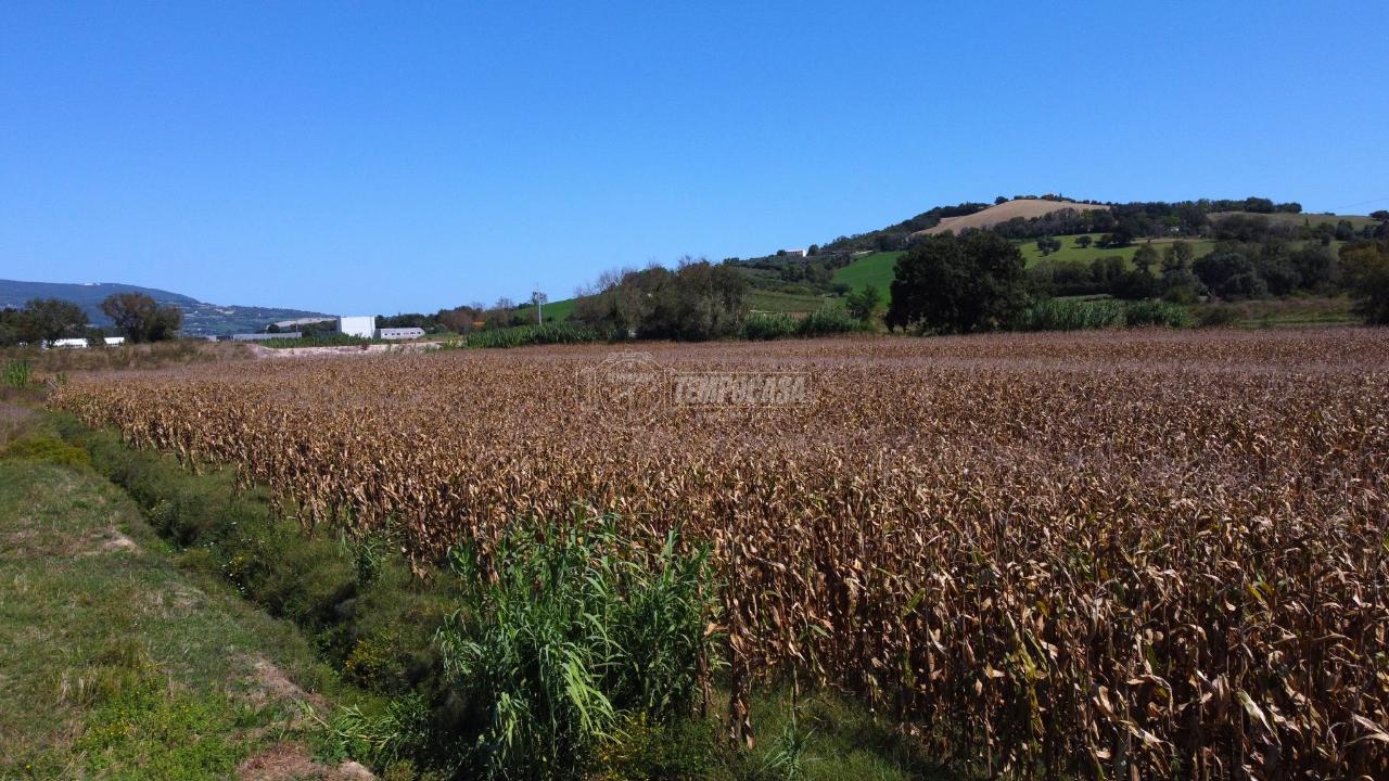 Terreno agricolo in vendita a Castelfidardo