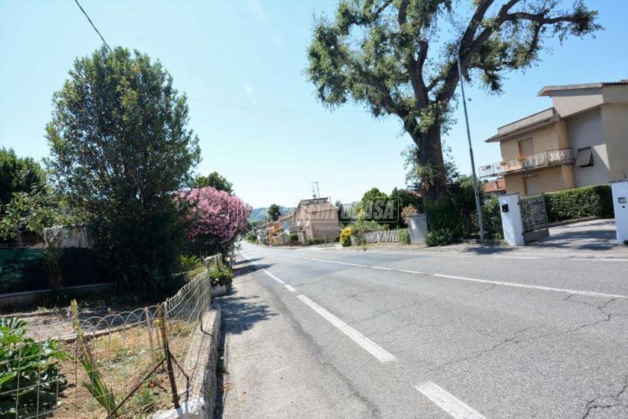 immagine annuncio 6 di 14