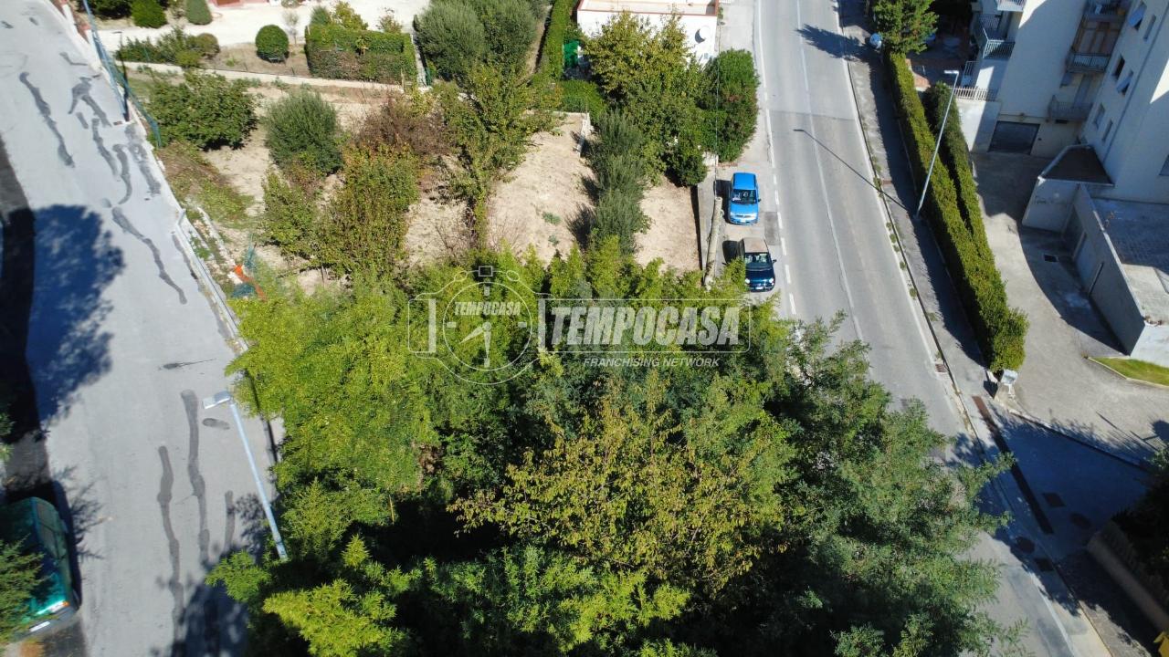 immagine annuncio 5 di 7