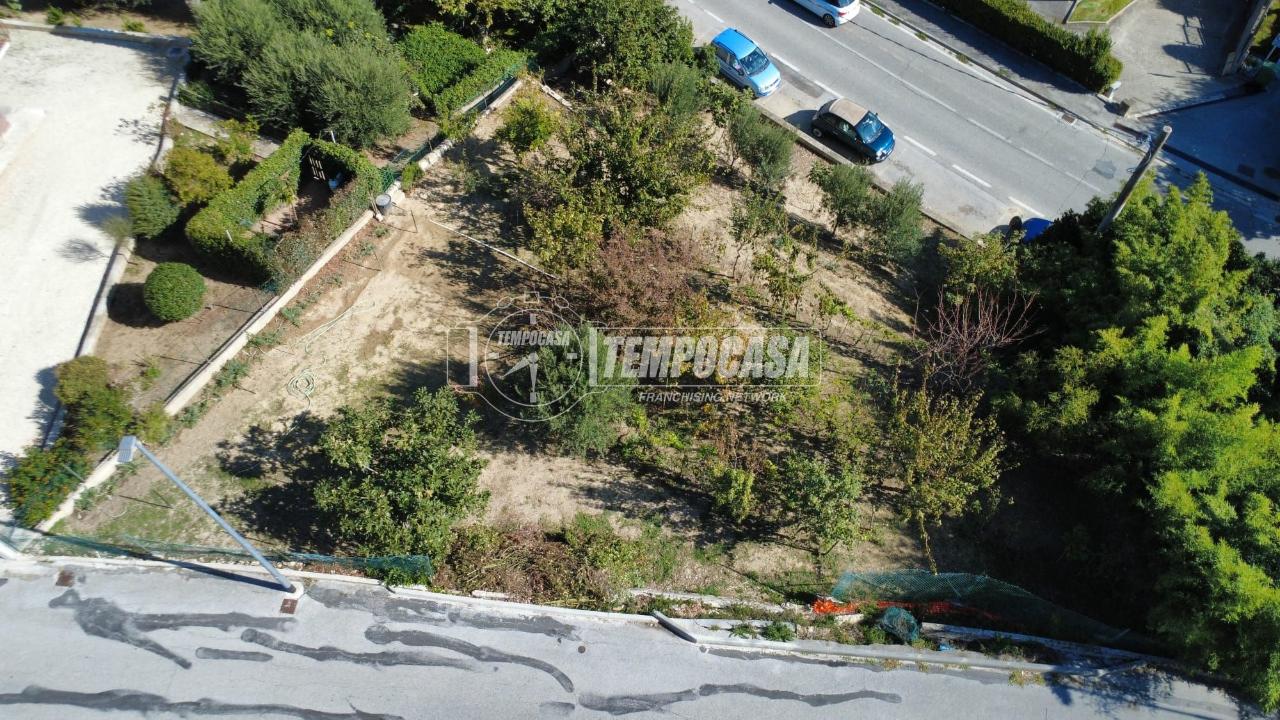 immagine annuncio 3 di 7