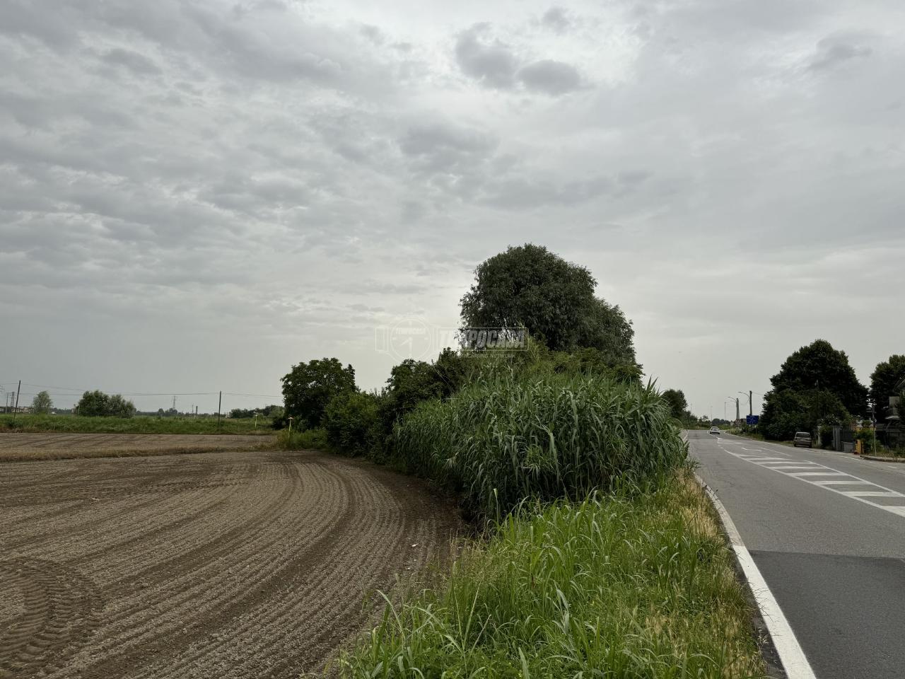 immagine annuncio 3 di 7