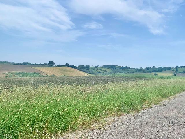 Terreno agricolo, Guglionesi - Foto 1