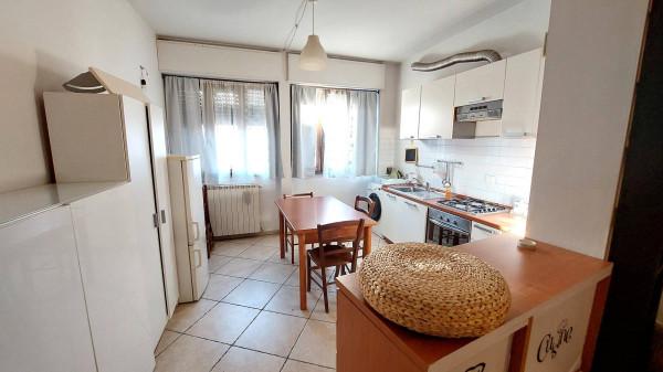 immagine annuncio 6 di 14