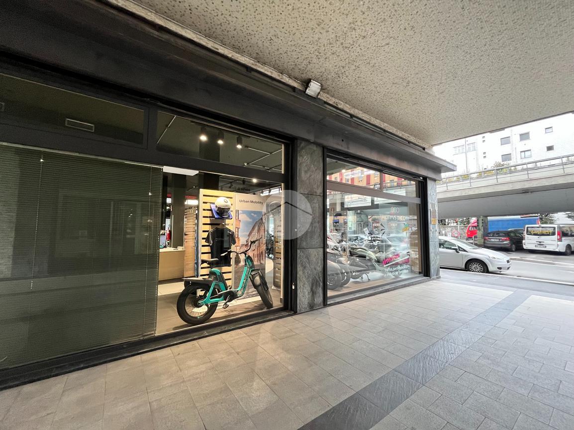 immagine annuncio 12 di 15