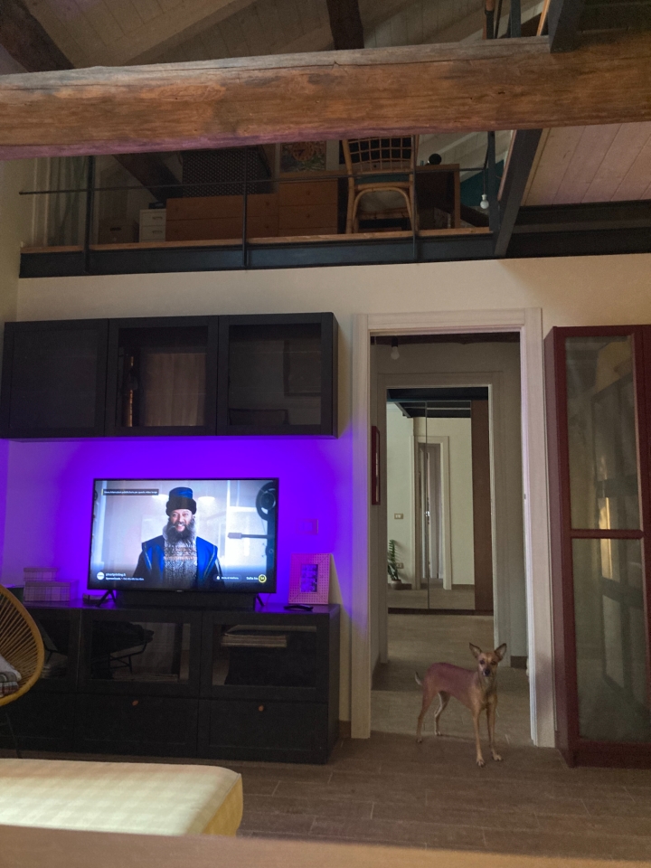 immagine annuncio 13 di 15