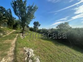 immagine annuncio 6 di 12