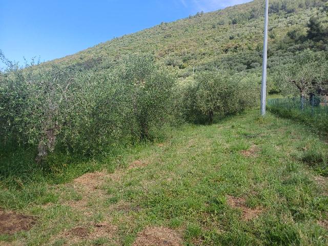 Agricultural land in Via dei Santi Vecchi -, San Giuliano Terme - Photo 1