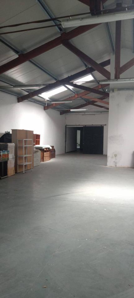 Esercizio commerciale in Via Giosue' Carducci 6, Pisa, {3} - Foto 1
